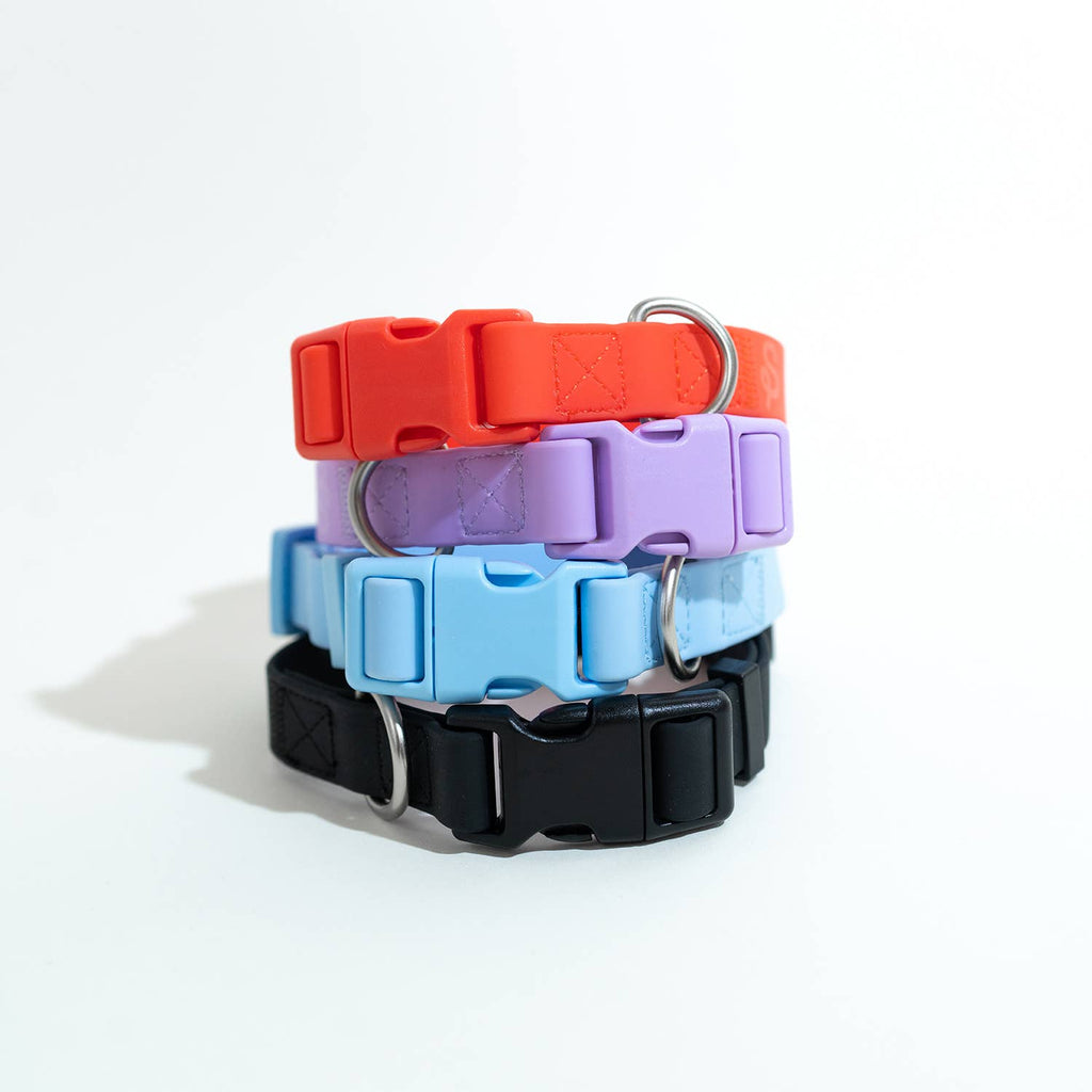 Dog Collar - All-Weather, Adjustable (Small)