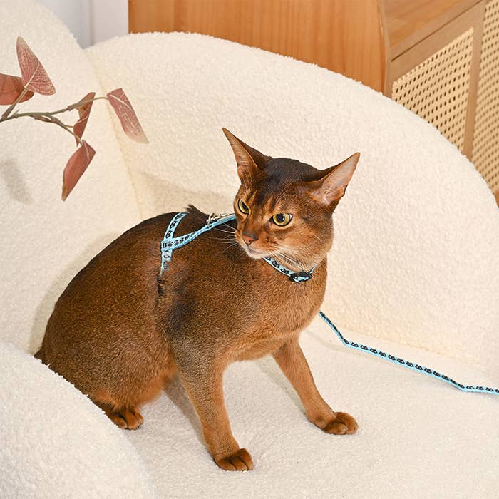 HugSmart Pet - Cat Harness & Leash Set | Kitty