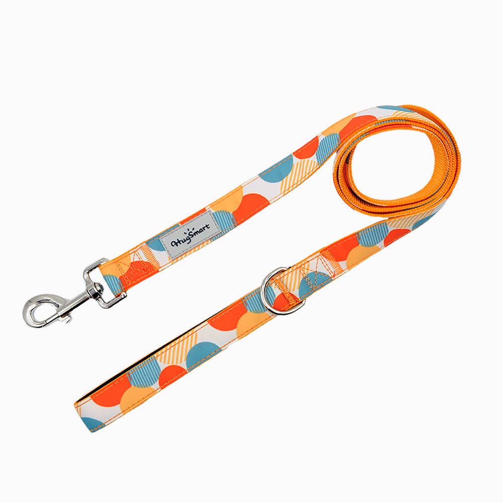 HugSmart Pet - Dog Leash | Dancing Dots