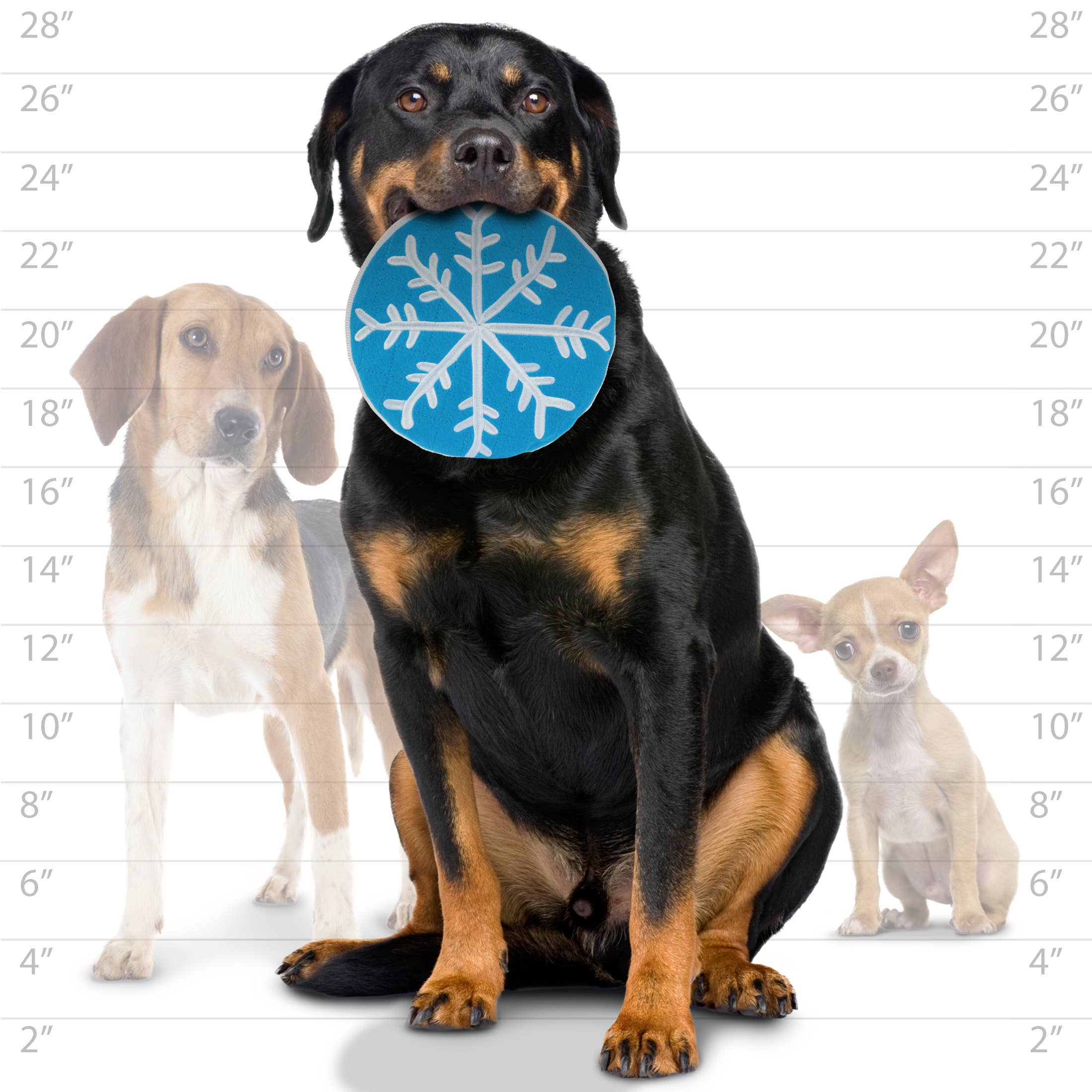 Tuffy Holiday Flyer - Winter Blue, Durable, Plush Dog Toy