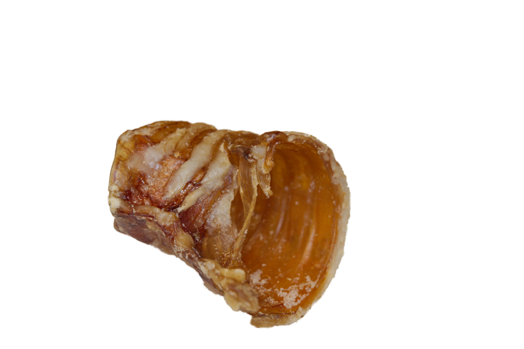 Heavenly Lil' Rippers - Beef Trachea for Lil' Dogs