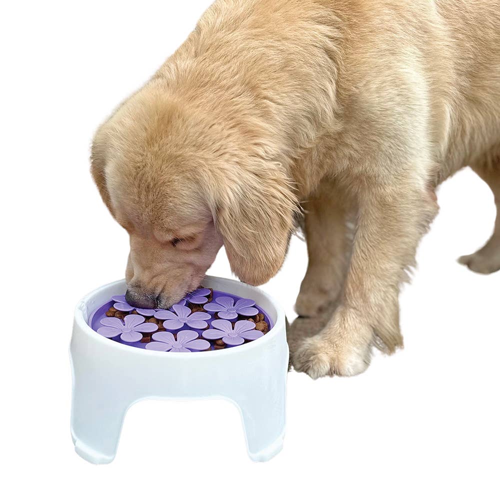 Lick Pad - Slow Feeder Duos