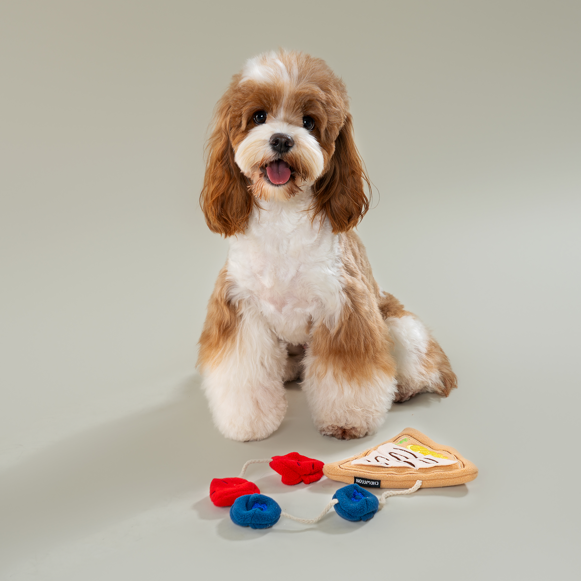Crepe Snuffle & Treat Puzzle Toy