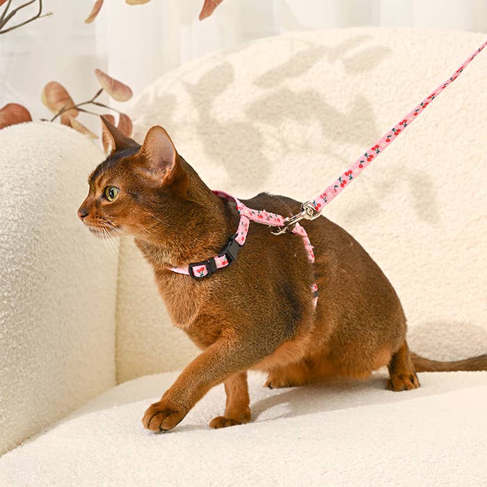 HugSmart Pet - Cat Harness & Leash Set | Cherry