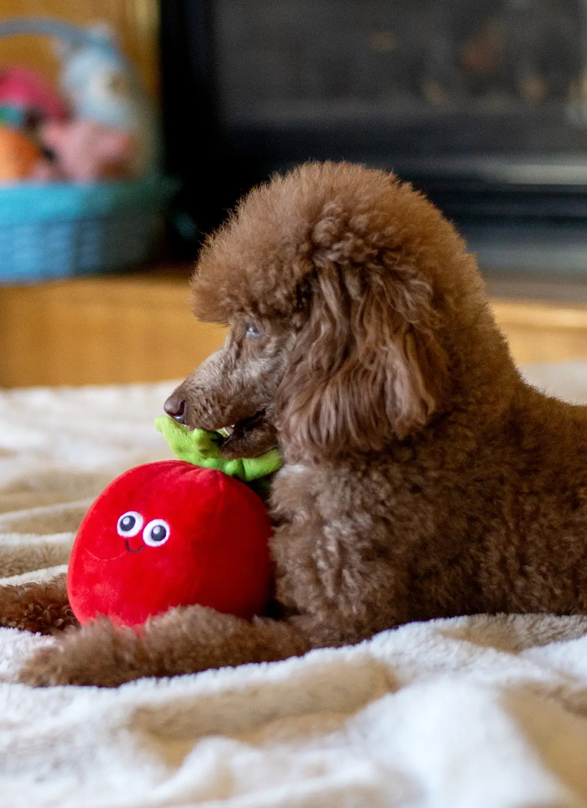 Tomato Plush Dog Toy 5.5"
