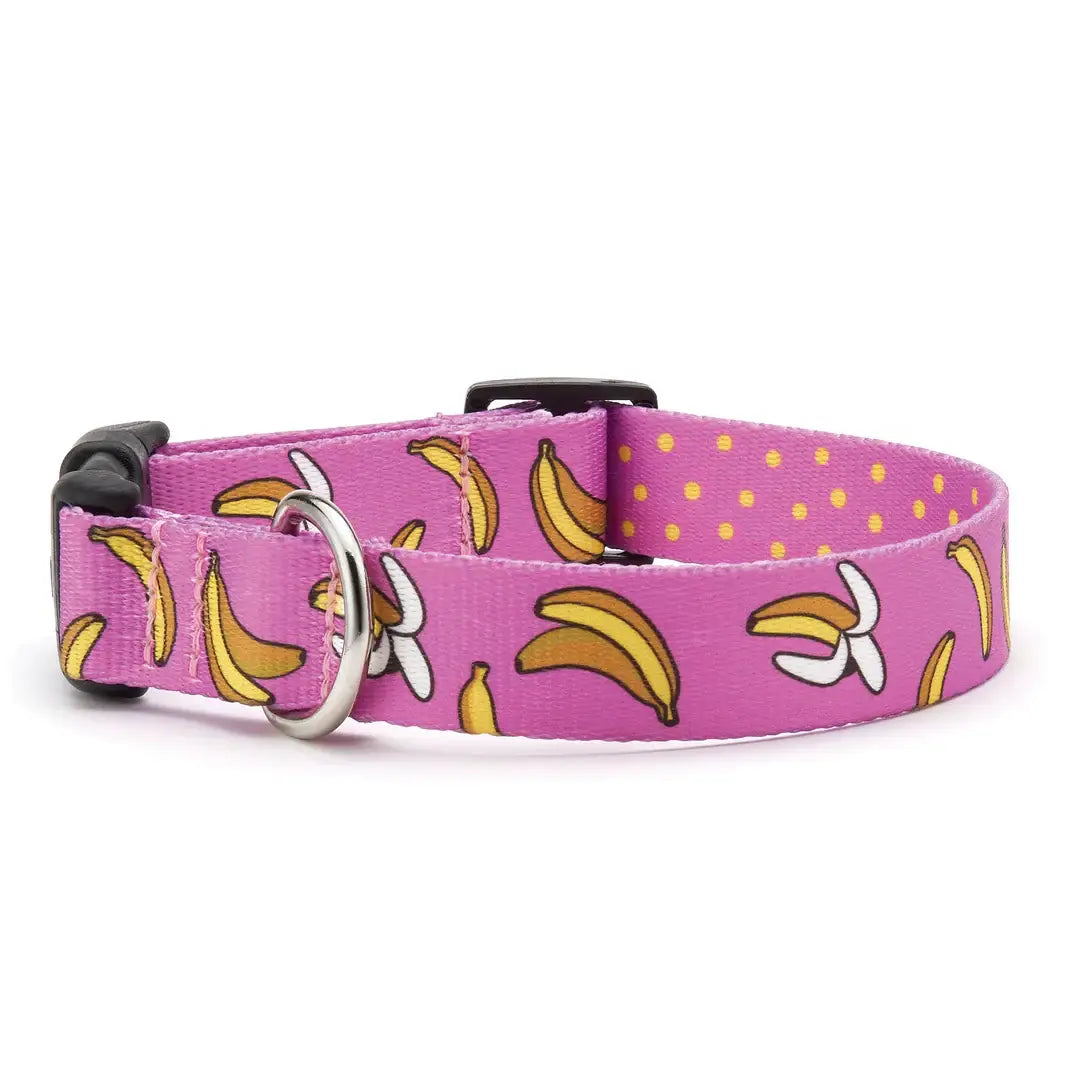 Up Country Sport Collar Go Bananas Collar: XL