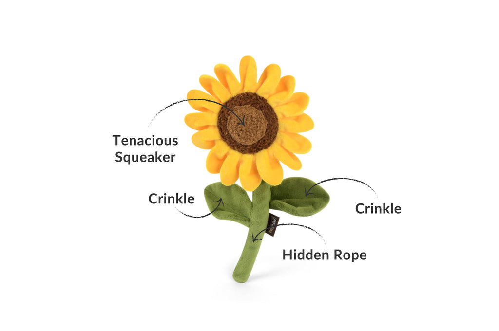 Sunny Sunflower