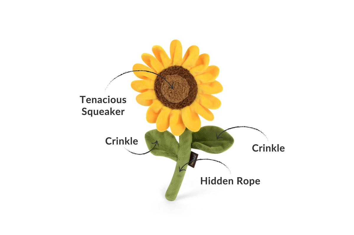 Sunny Sunflower