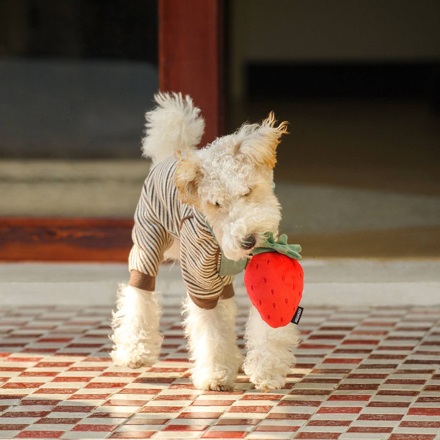 CHEWFFON Fruit Plush Squeaky Dog Toy – Strawberry, Lemon or Pear