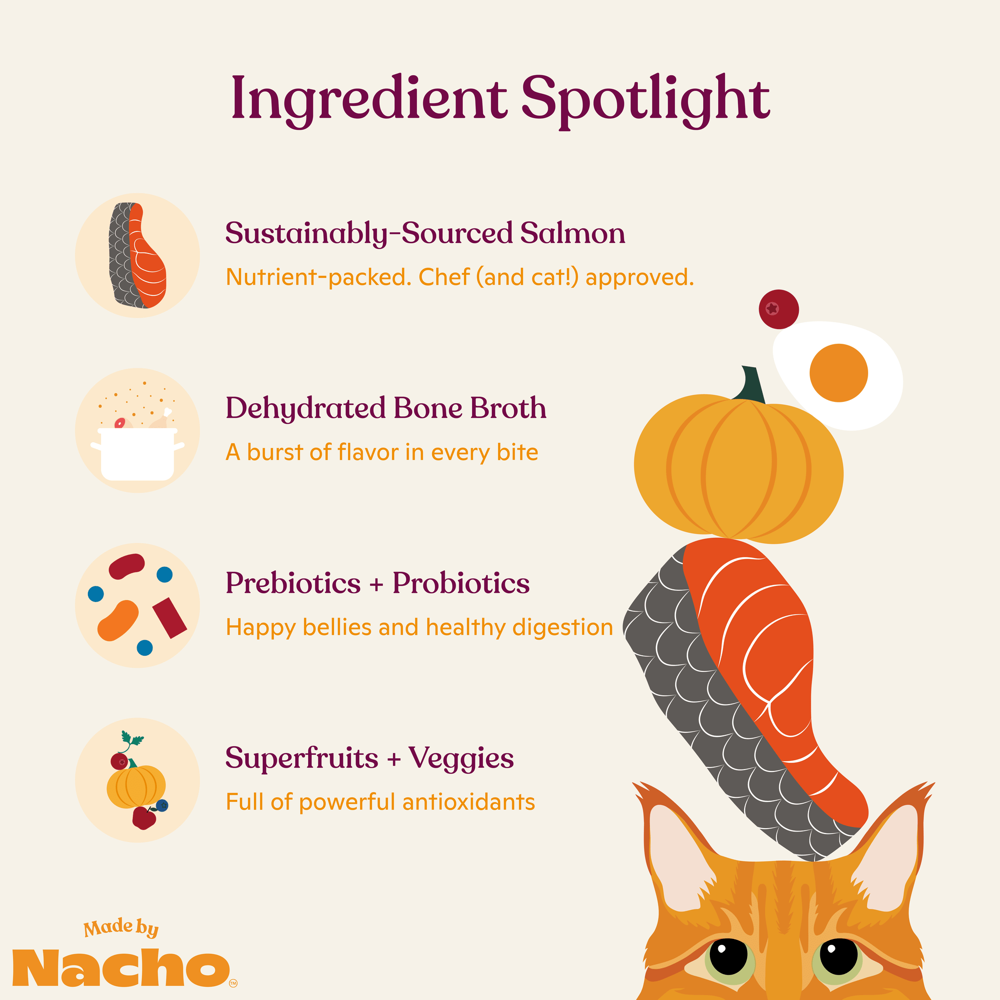 Bone Broth Infused Kibble Sustainably Caught Salmon & Pumpkin Recipe: 4 lb Bag