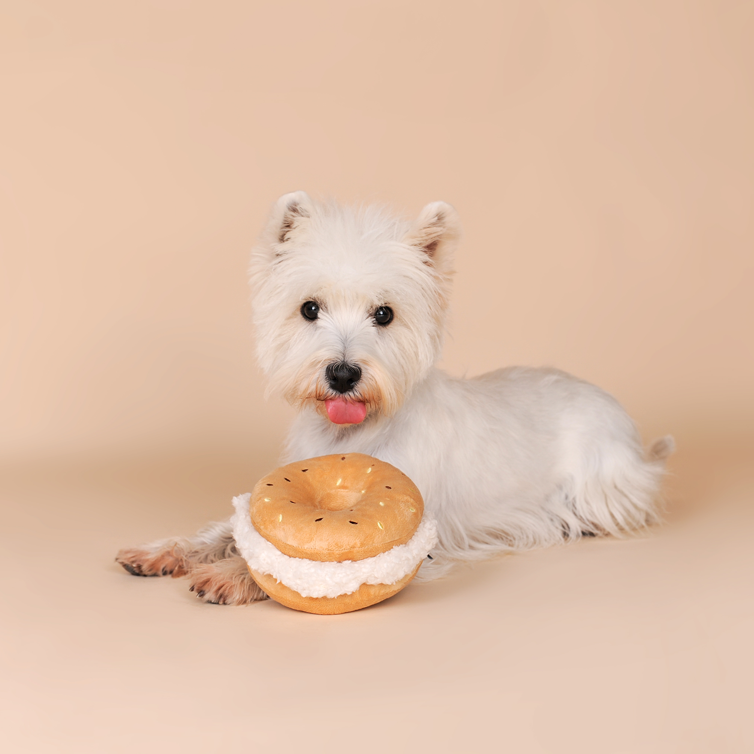Bagel Plush Squeaky Dog Toy