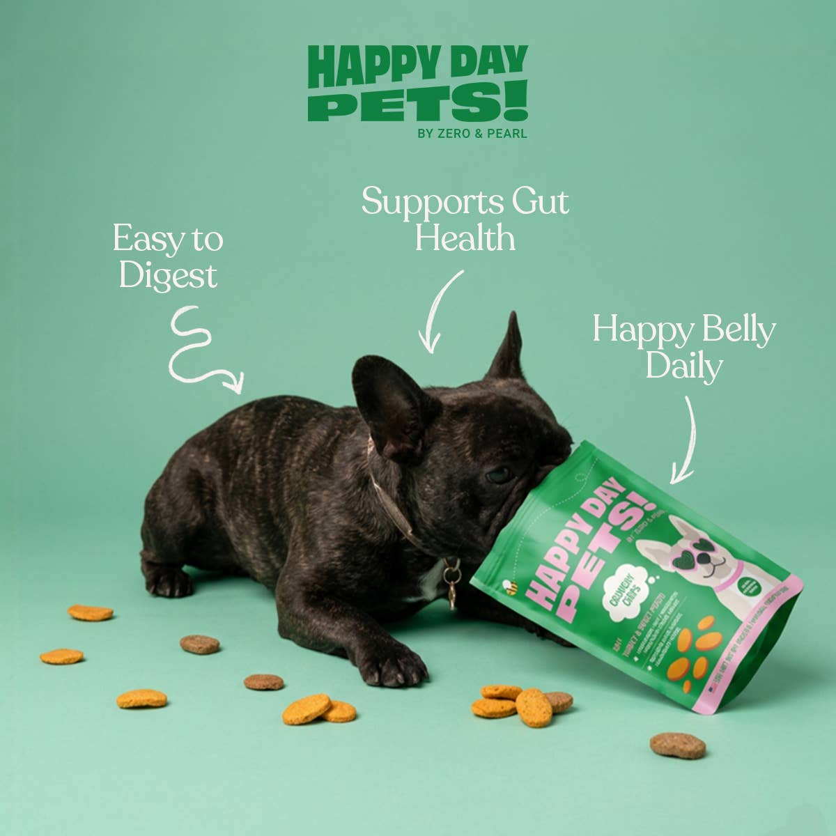 Happy Day Pets Turkey & Sweet Potato Chips Dog Treats