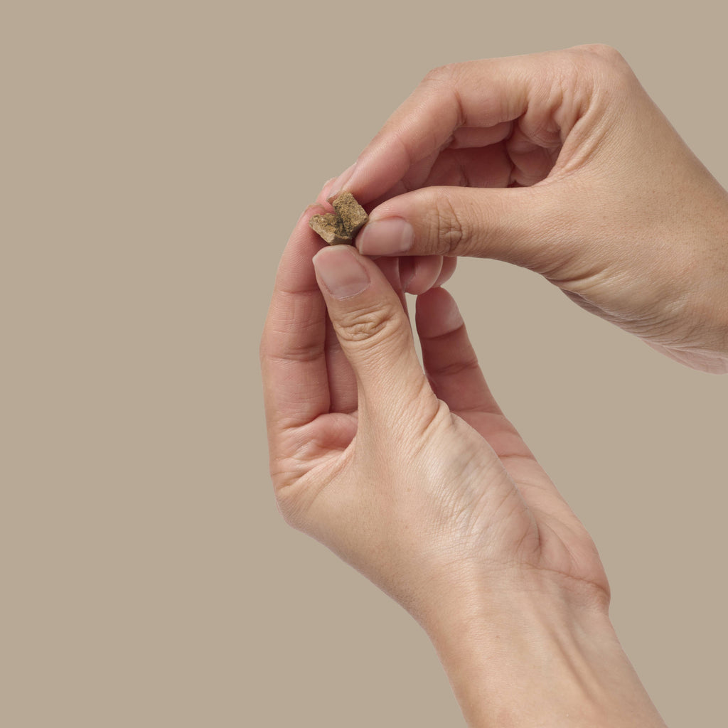 Freeze-Dried Beef Liver