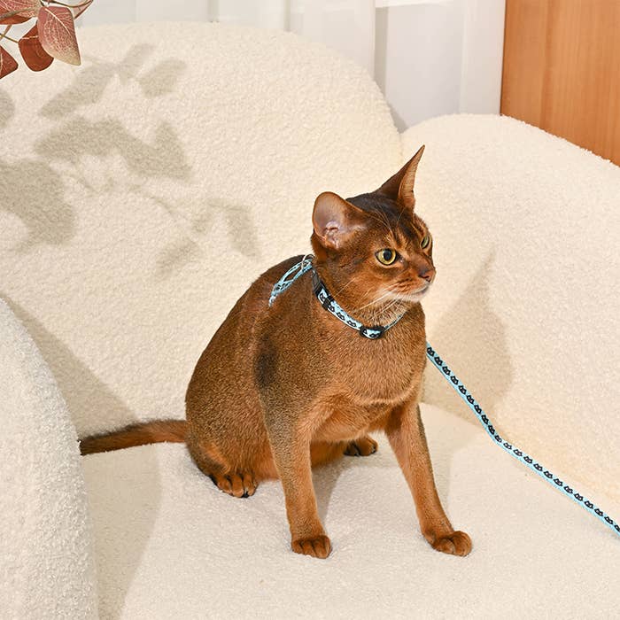 HugSmart Pet - Cat Harness & Leash Set | Kitty