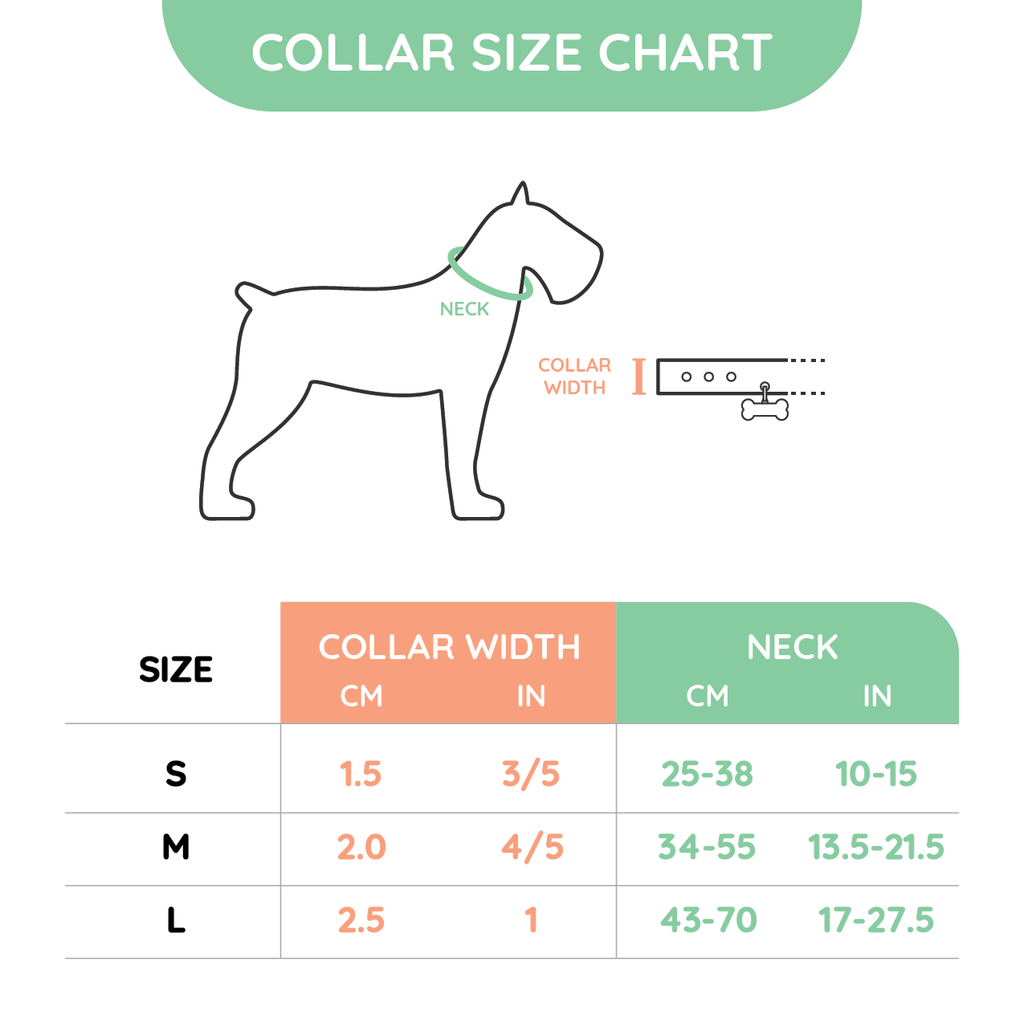 HugSmart Pet - Dog Collar | FoodieTime