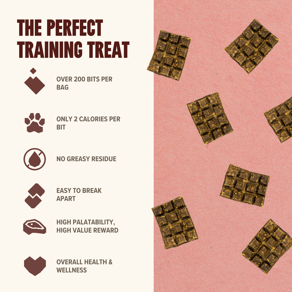 Beef Mini Training Treats
