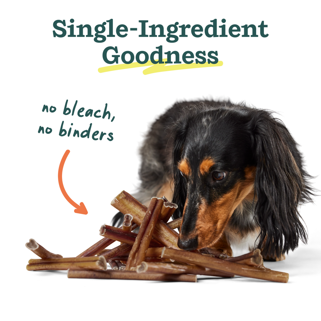 BullySafe Chews - Pure Collagen: Beef / 12-inch 10 pack